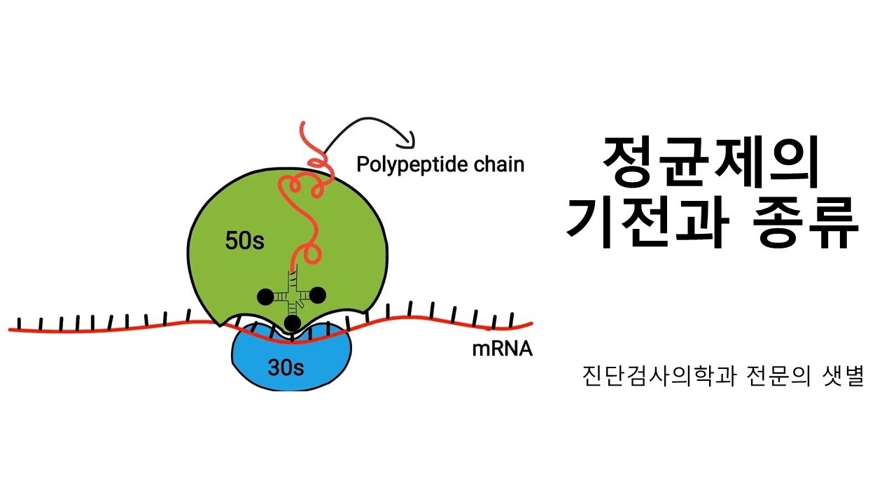 정균제의 기전과 종류