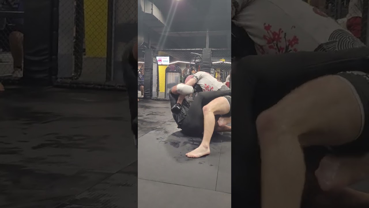 Aleksandar Mihailović vs Nenad Avramović