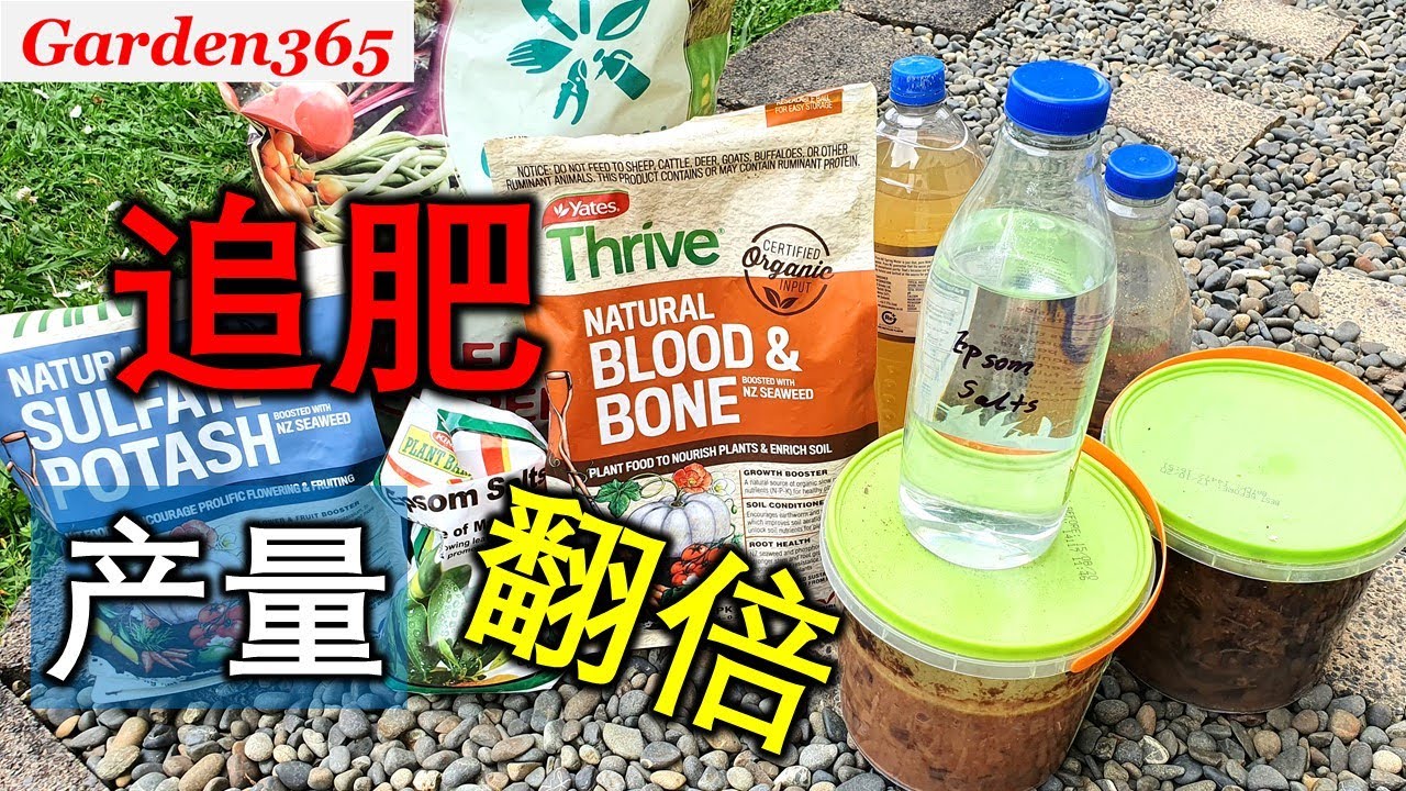【追肥】怎样追肥？追什么肥？｜什么时候追？｜怎样避免肥追多？