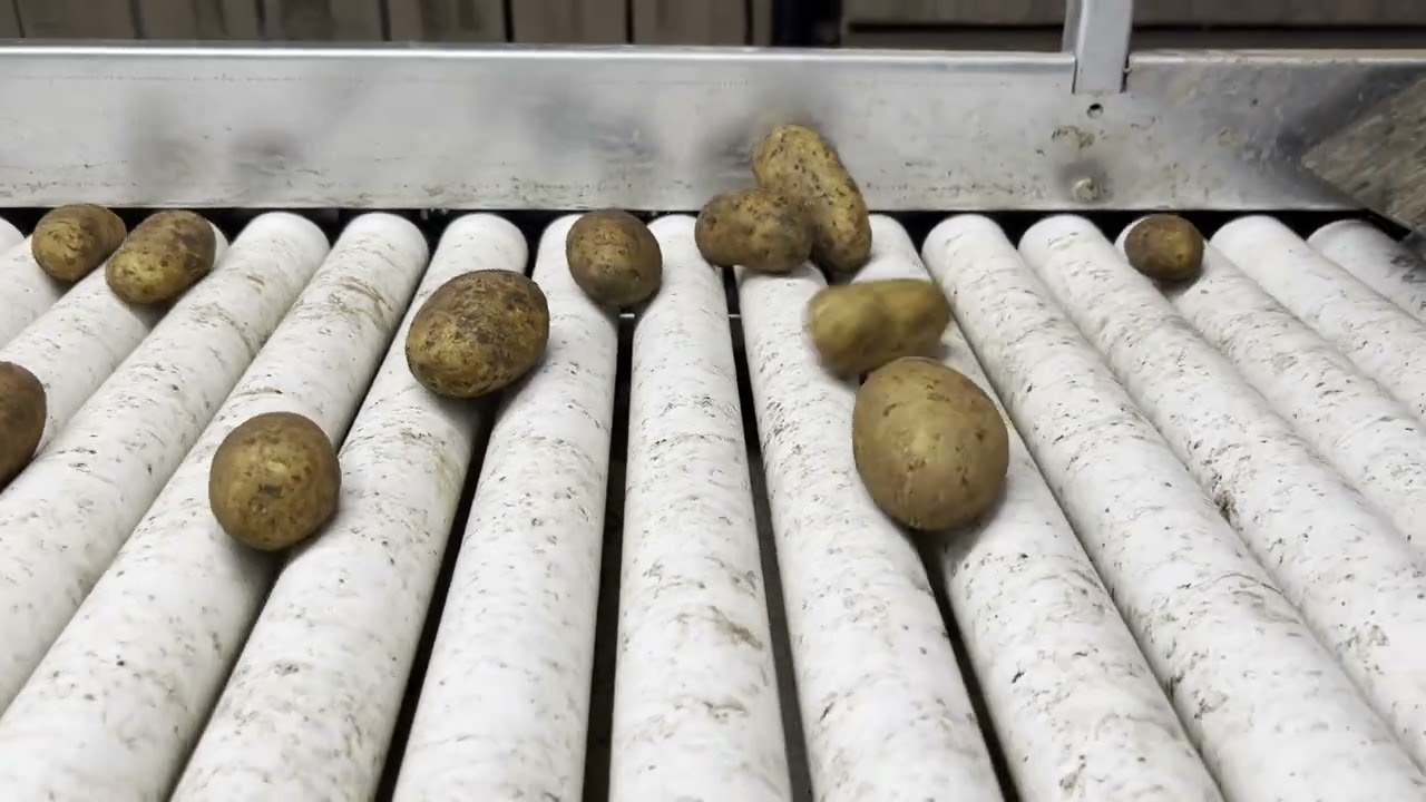 Ligne Michalak, une solution complète de tri et de préparation des pommes de terre.