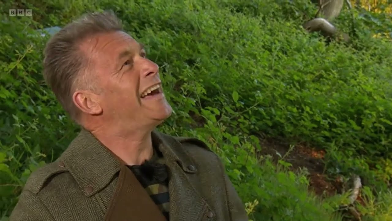 Common Toads on Springwatch (2022)