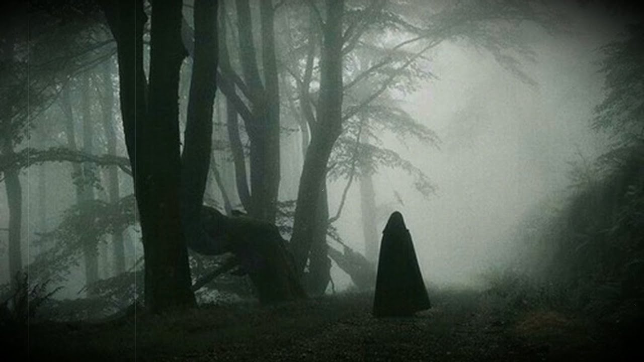 Dark Academic Playlist & Novels - Frankenstein (Letter 1 - 4)