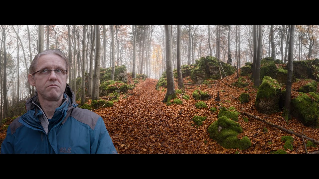 Herbstimpressionen aus dem Nürnberger Land – Waldfotografie am Hochberg