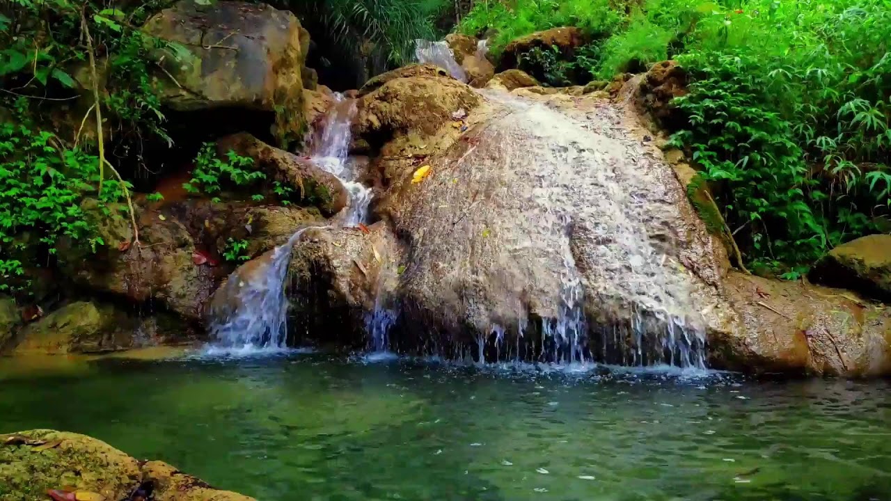 Gentle River Flow for Emotional Recovery, Stress Relief and Sleep Therapy