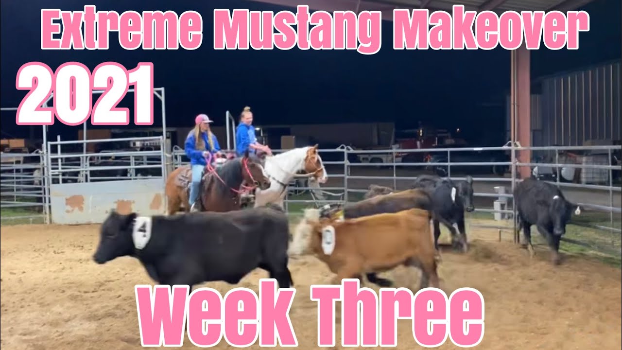 Неделя третья | Экстремальное преображение Mustang 2021