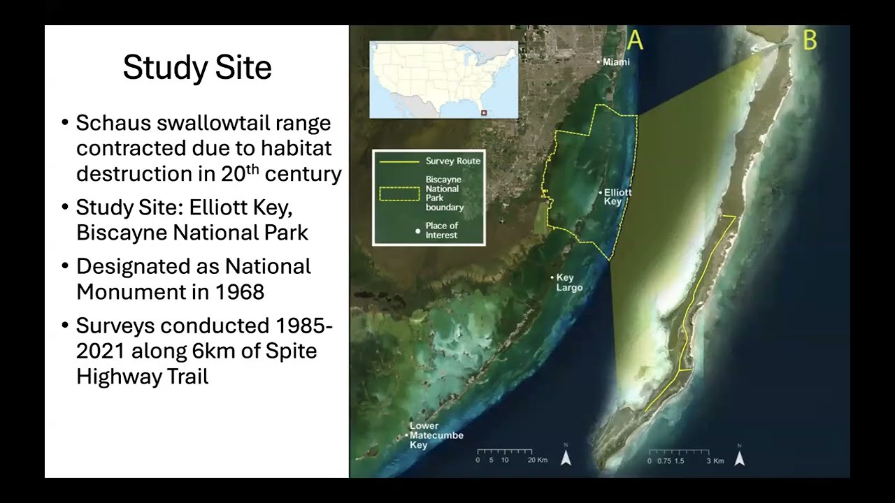 Integrating ecological and genetic data for insect conservation in the Florida Keys