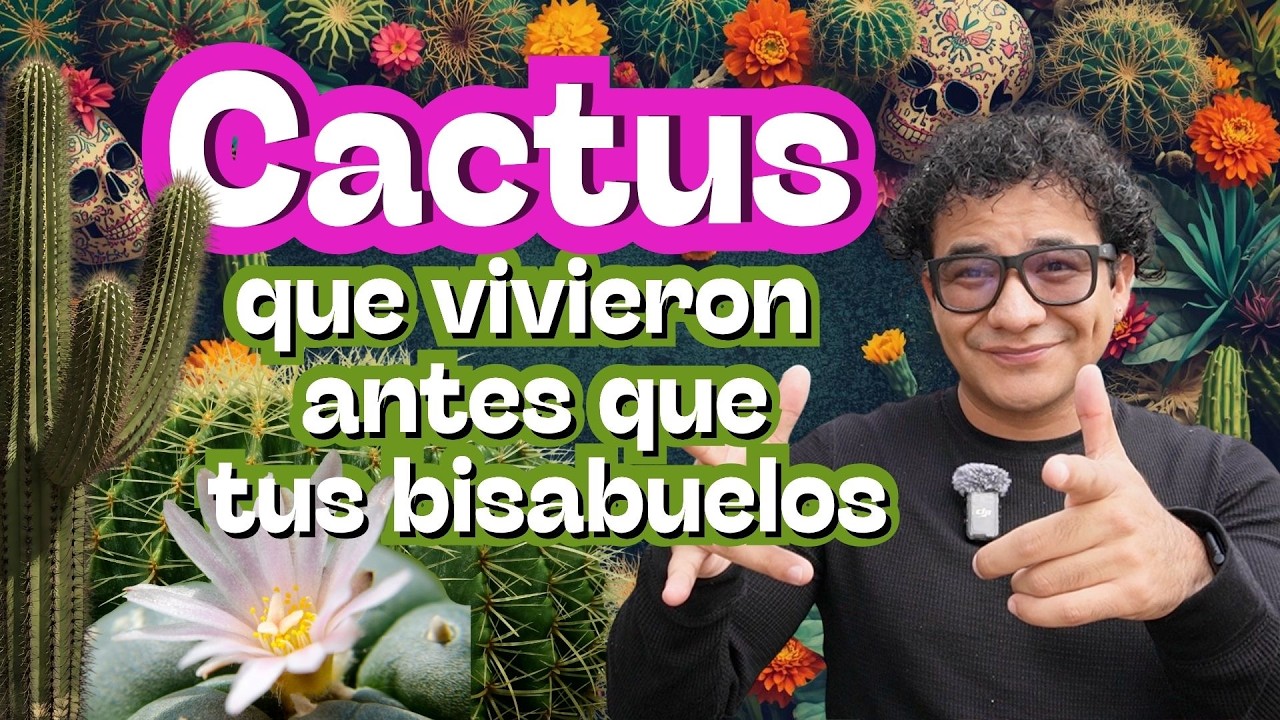 Los cactus INMORTALES 🌵: Especies que pueden vivir más de 300 años