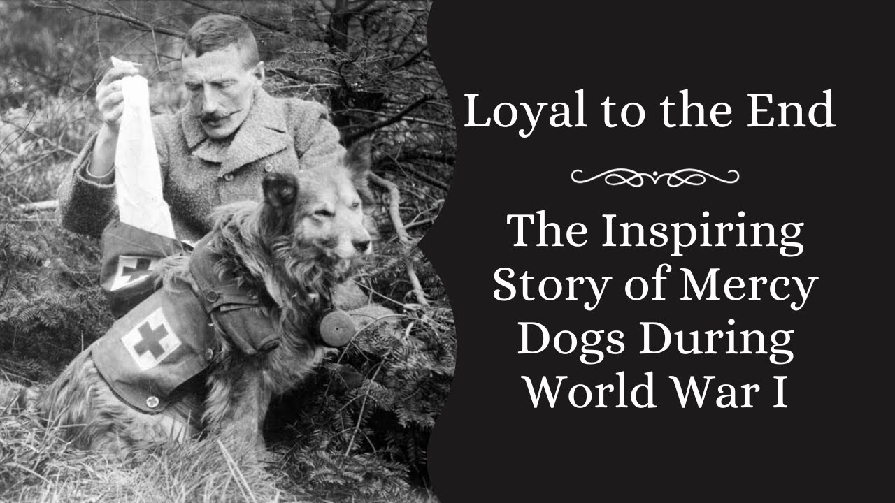 True Canine Courage. Loyal to the End: The Inspiring Story of Mercy Dogs During World War I.