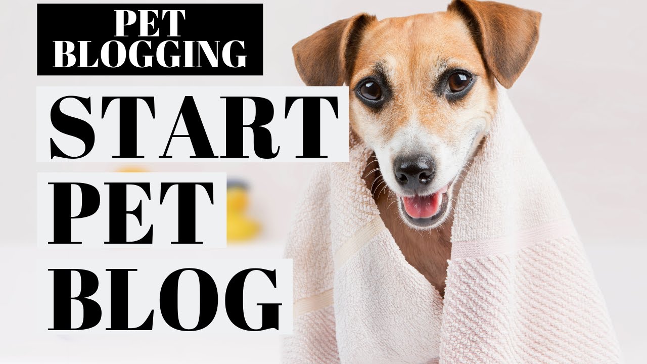 How To Start A Pet Blog | Pet Blogging Tutorial