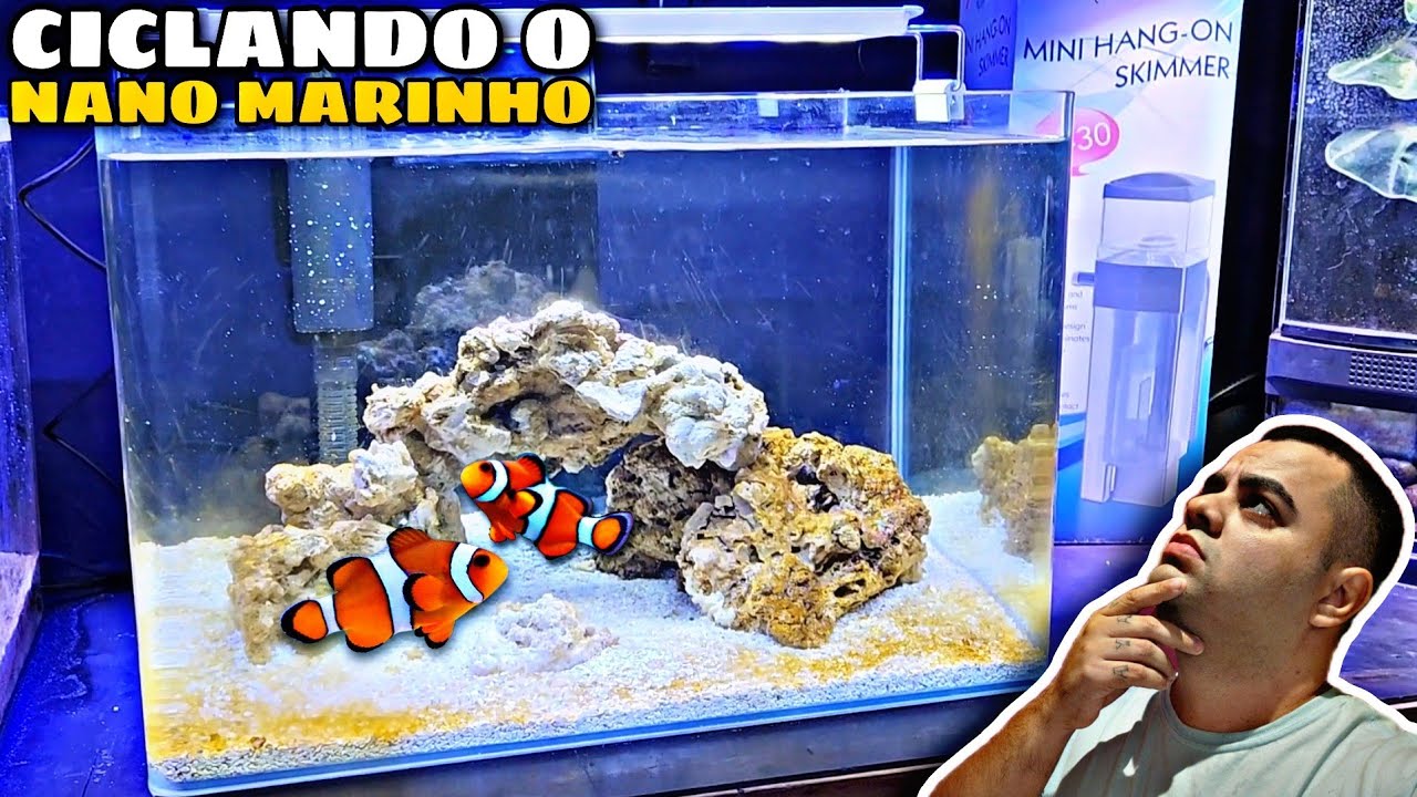 CICLAGEM DO AQUÁRIO NANO MARINHO PARA INICIANTES