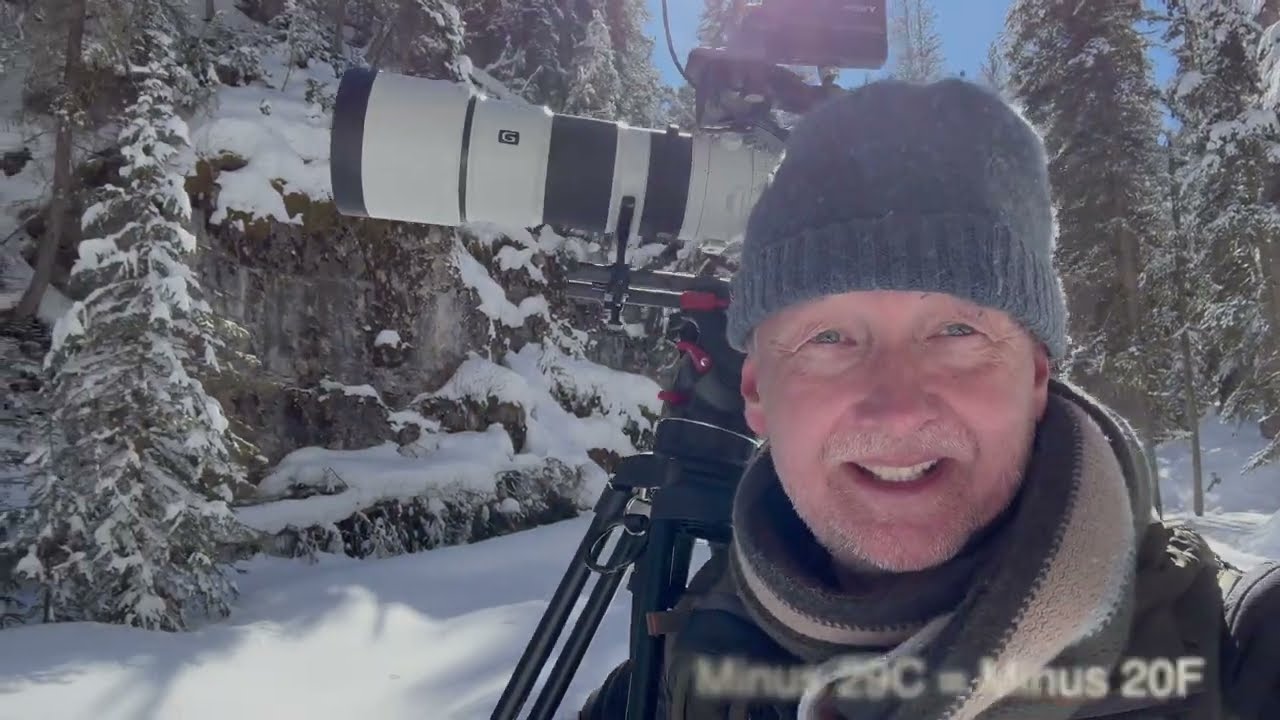 Planning YELLOWSTONE for Wildlife Photographers. #yellowstonenationalpark #wildlifephotography