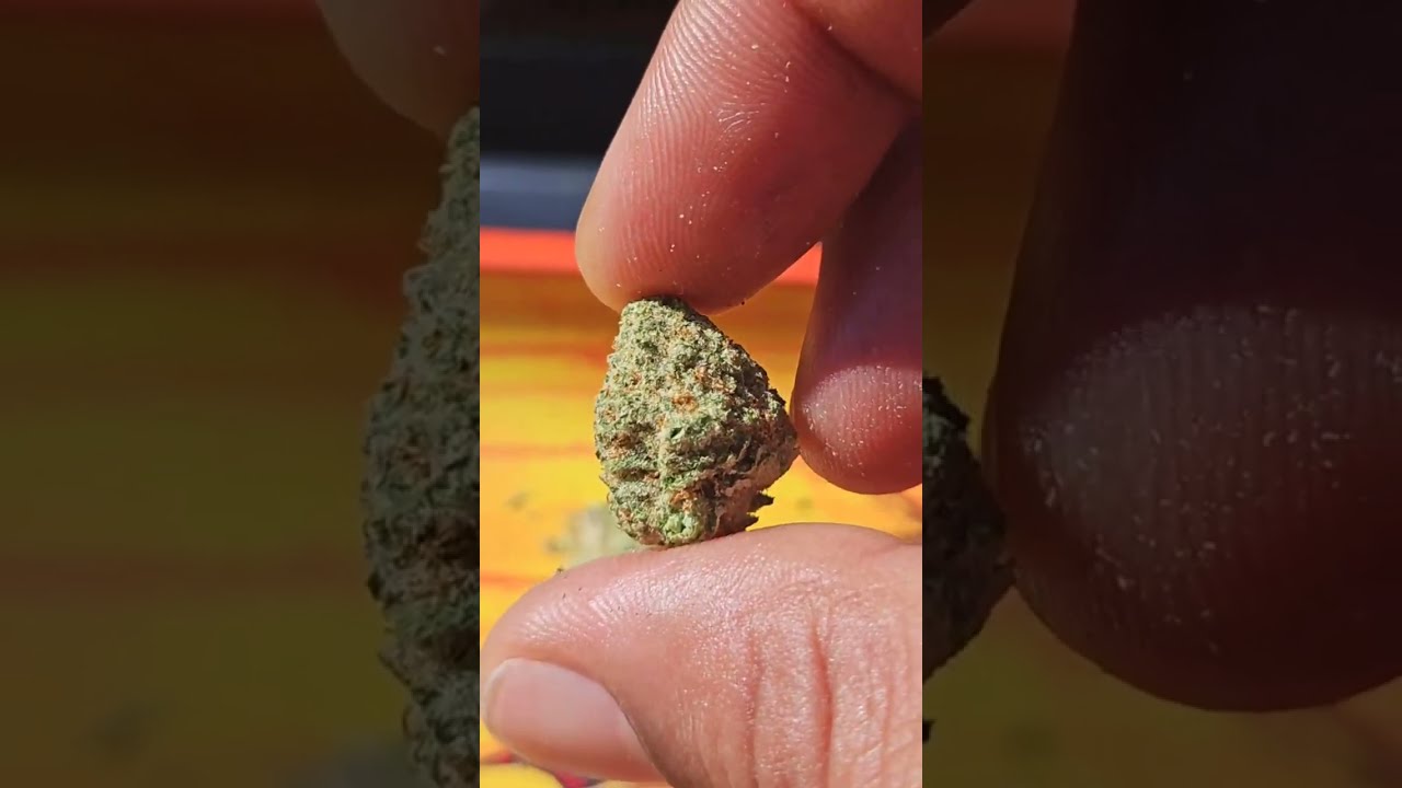 BIO JESUS by CRESCO + BISCOTTI by OTHERSIDE: full strain Review