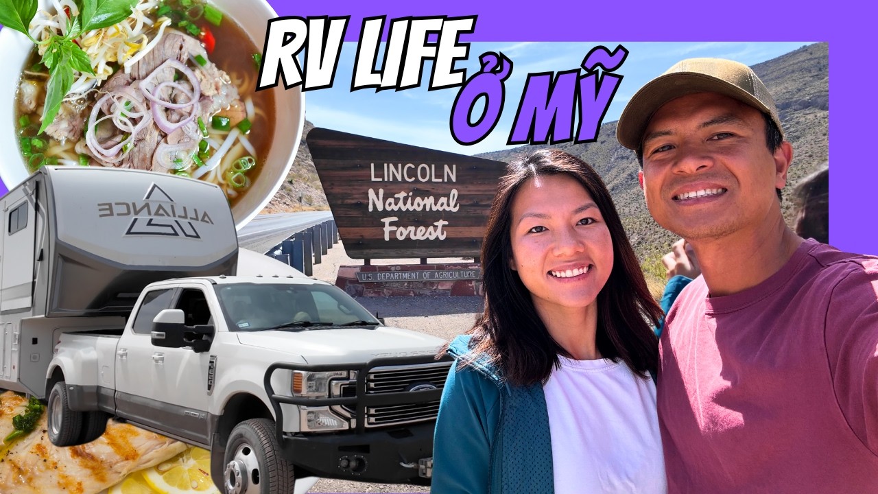 Sa Mạc Tại New Mexico có Rừng Xanh?
