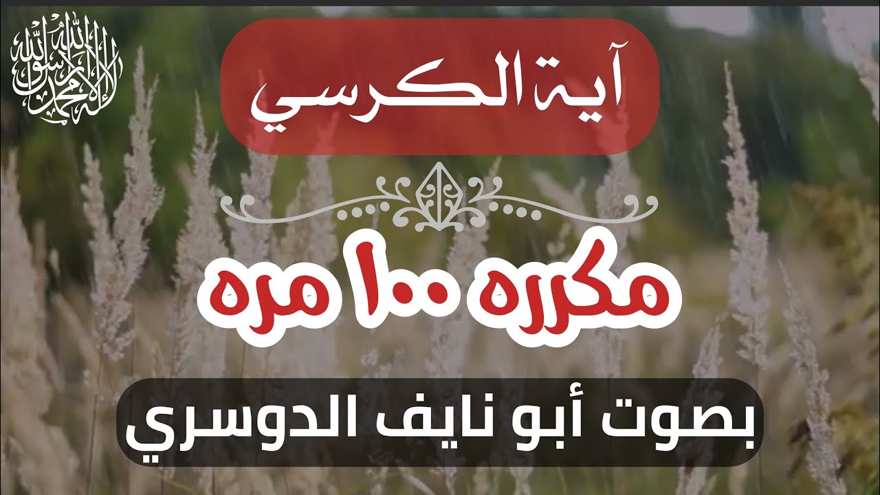 من رقية ودعاء ابو نايف الدوسري-آية الكرسي مكرره١٠٠مره🔥#رقية_شرعية #للعين #الحسد #المس#السحر#الأمراض