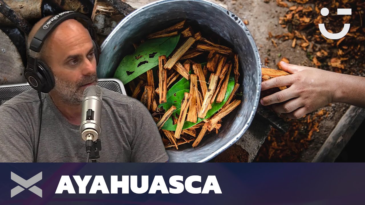 AYAHUASCA | ¿Qué es y qué efectos produce en el cuerpo?