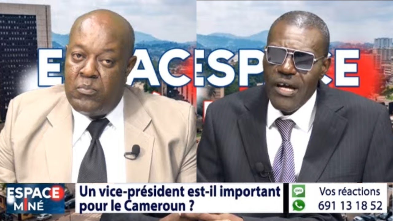 UN VICE-PRÉSIDENT EST-IL IMPORTANT POUR LE CAMEROUN?