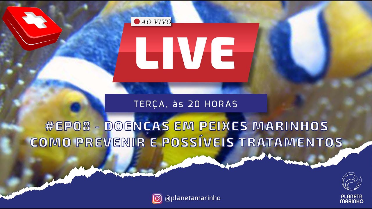 LIVE | #EP08 - Doenças em Peixes Marinhos, Como Prevenir e Possíveis Tratamentos