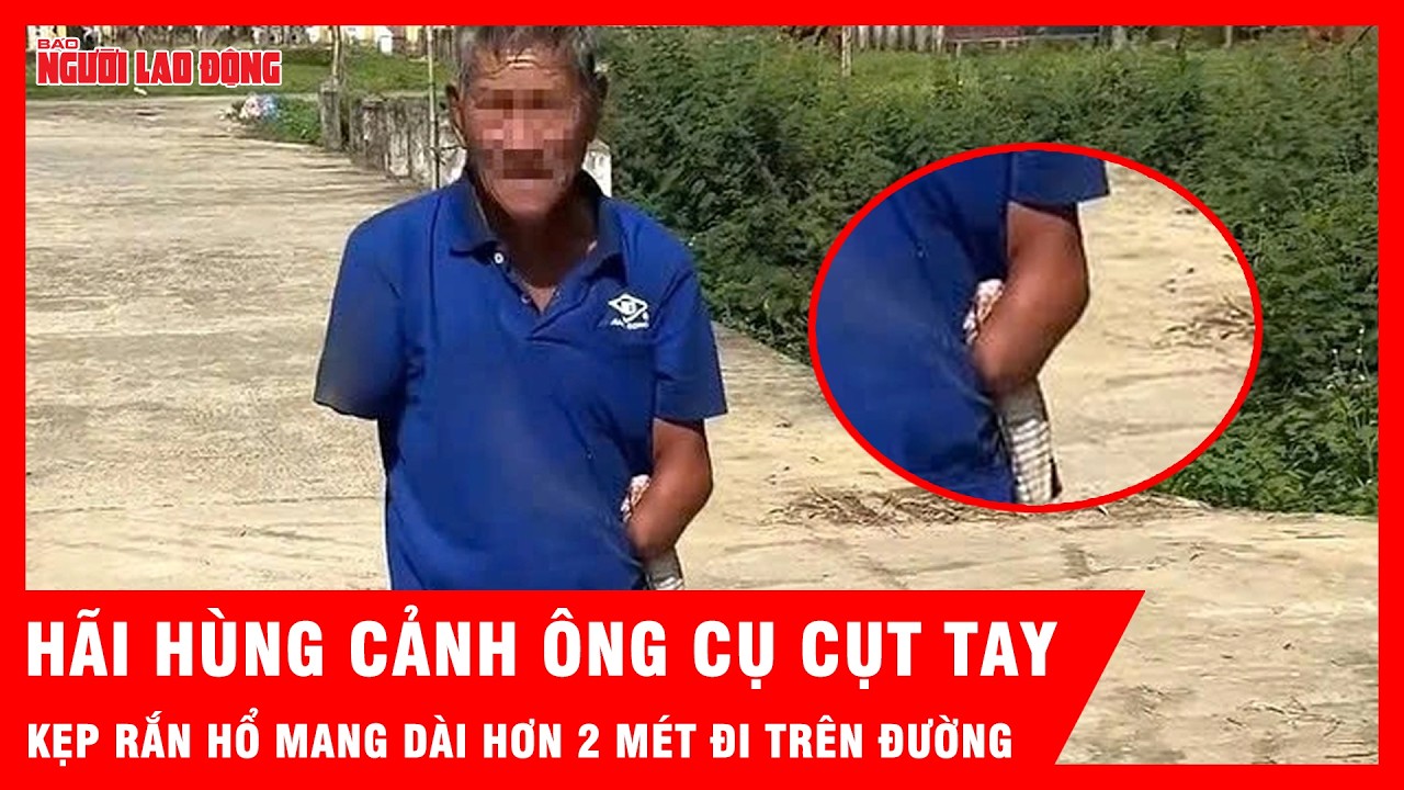 Hãi hùng cảnh cụ ông cụt tay kẹp rắn hổ mang dài hơn 2 mét đi trên đường | Tin tức