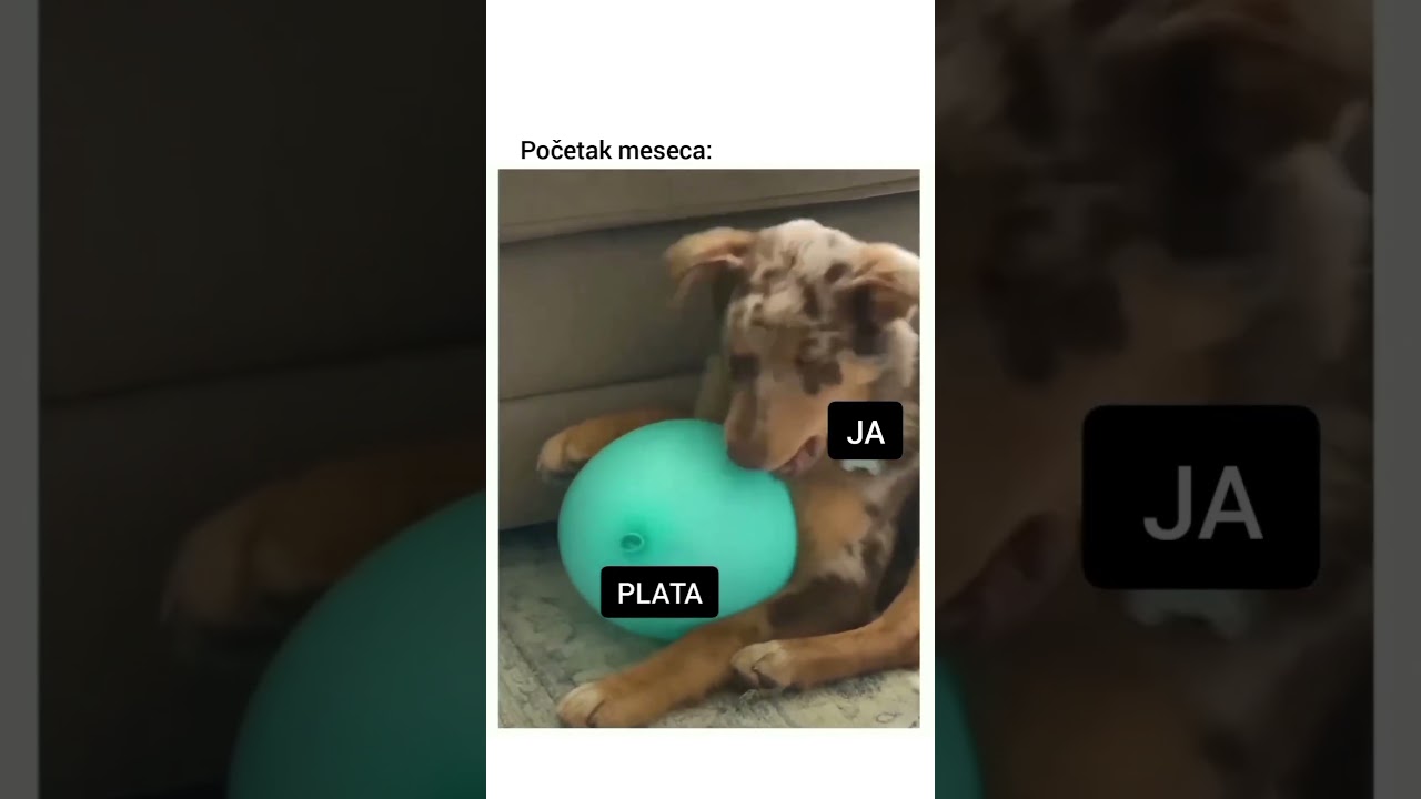Kad sjedne placa pocetkom mjeseca i za par dana nemas za biber