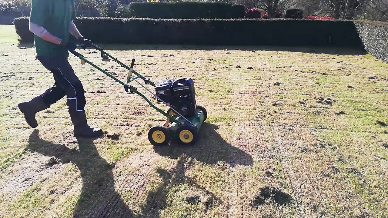 Spring LAWN CARE, Scarifying / Dethatching