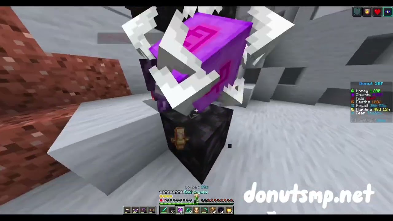 TAKING A 50million BOUNTY OF W1ZOX_ ON THE DONUT SMP🍩