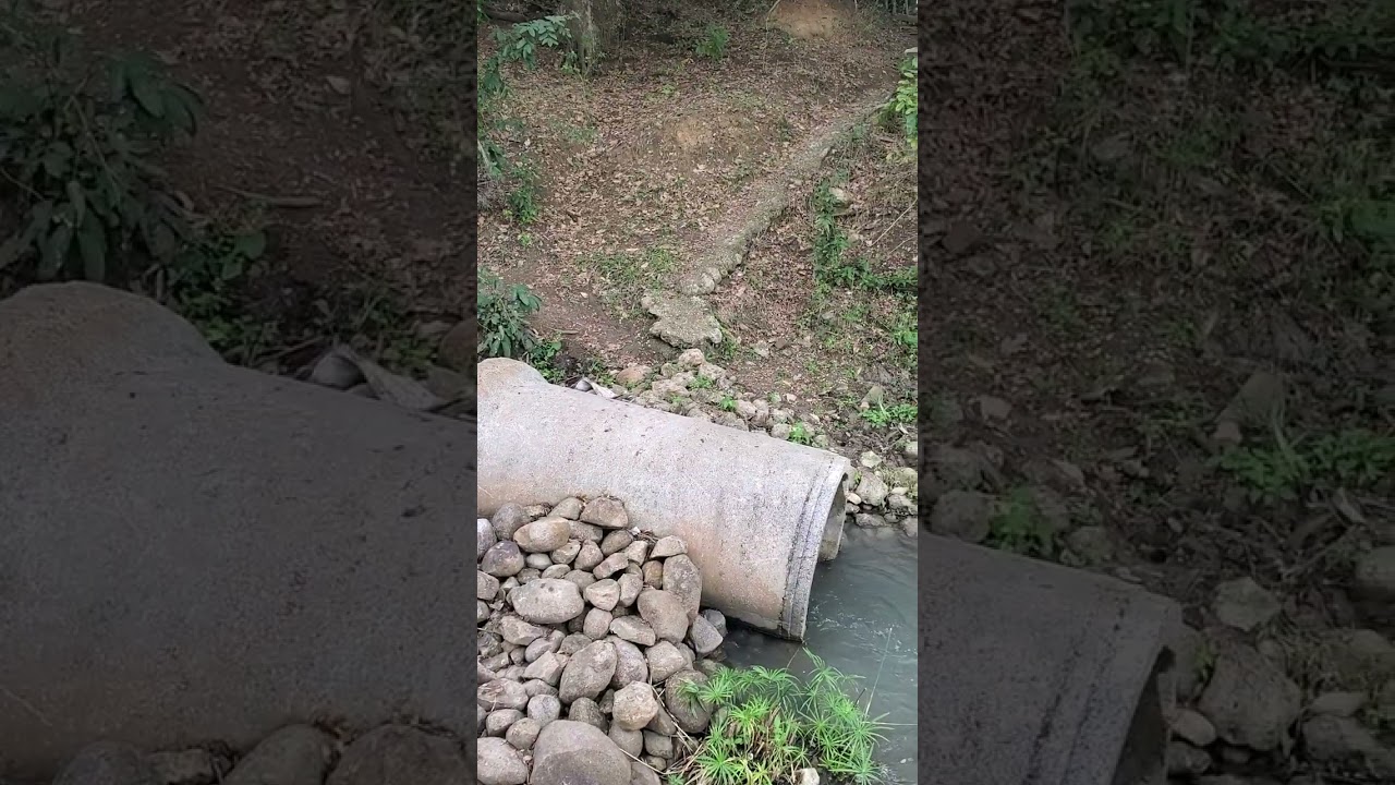 Mostrando la finca en Juan Benitez 