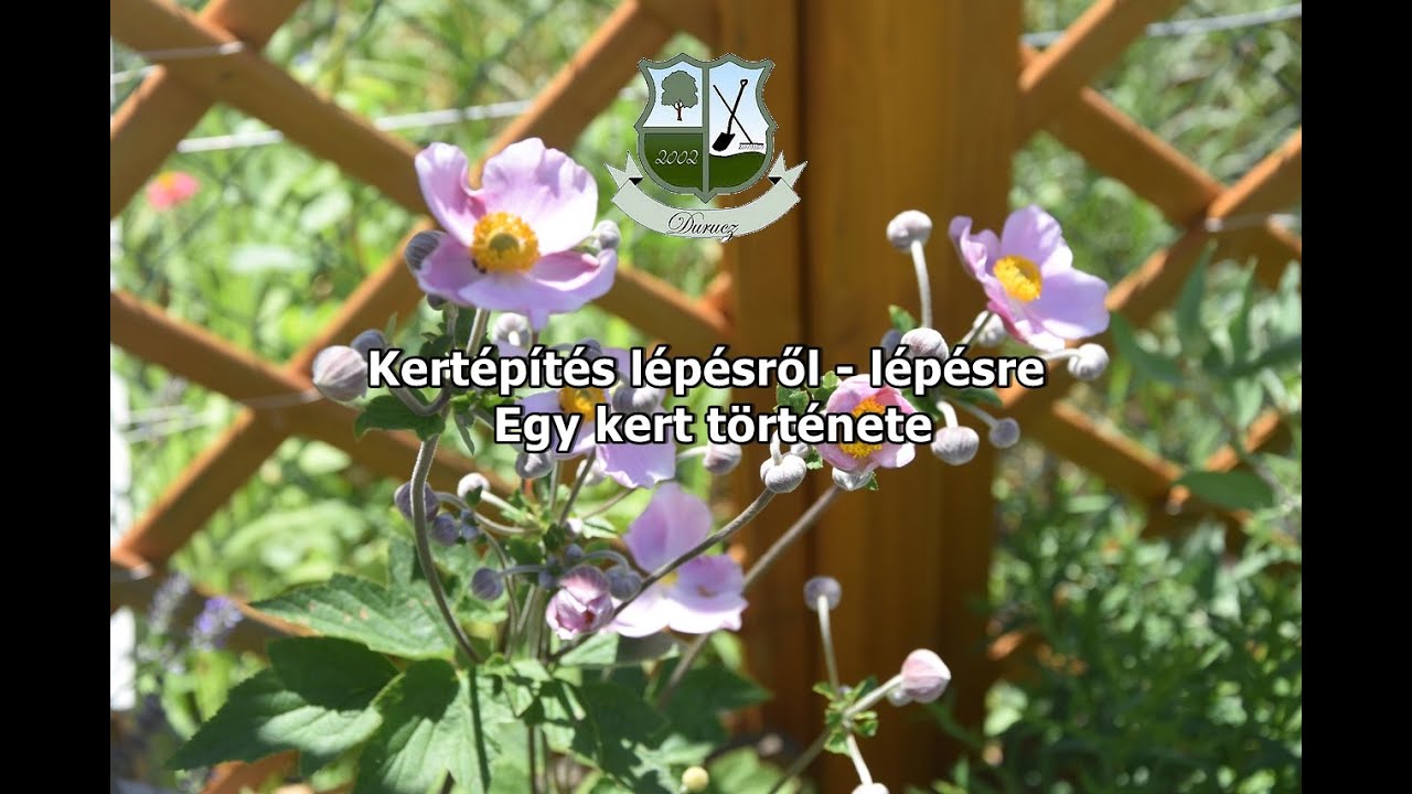 Kert&eacute;p&iacute;t&eacute;s l&eacute;p&eacute;sről - l&eacute;p&eacute;sre | Egy kert t&ouml;rt&eacute;nete
