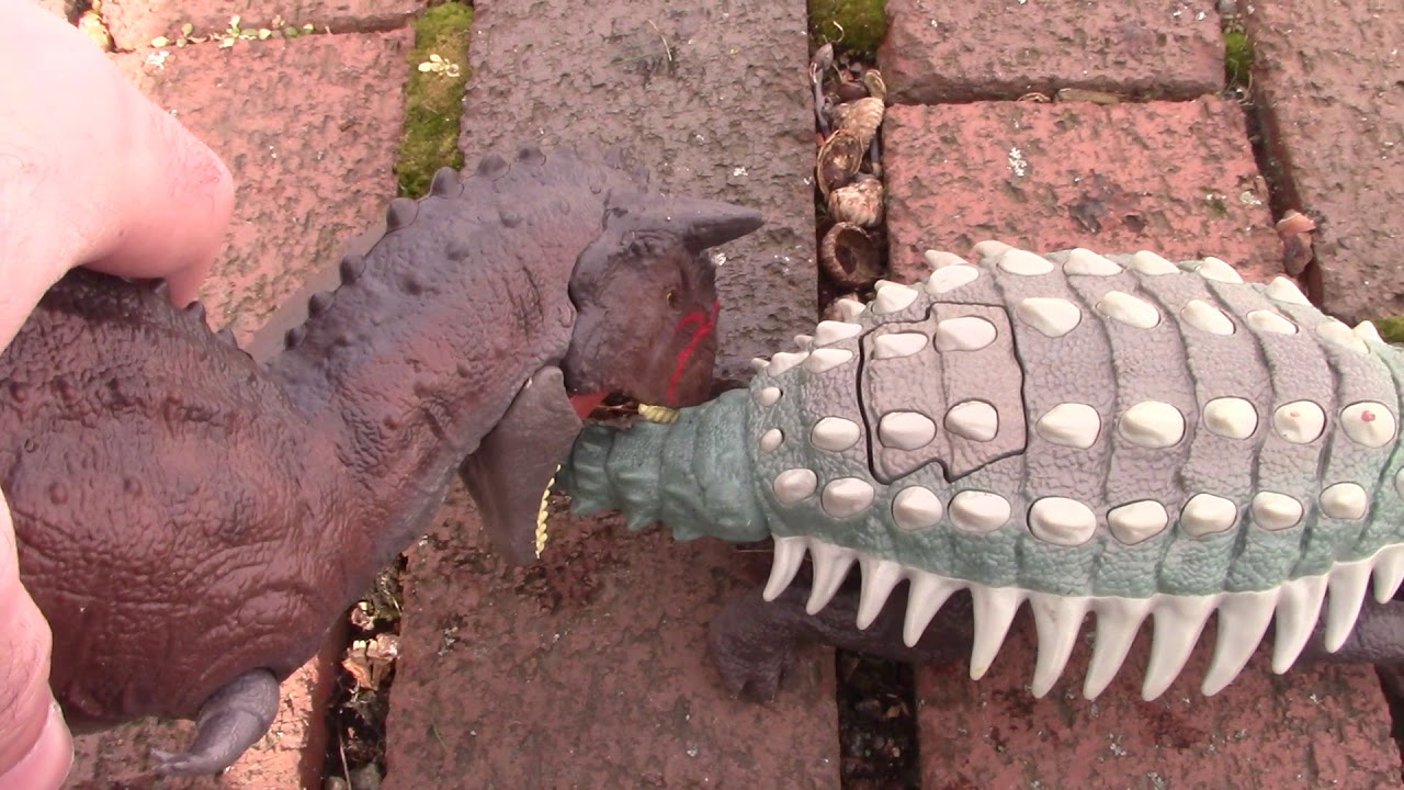 Bumpy vs. Toro