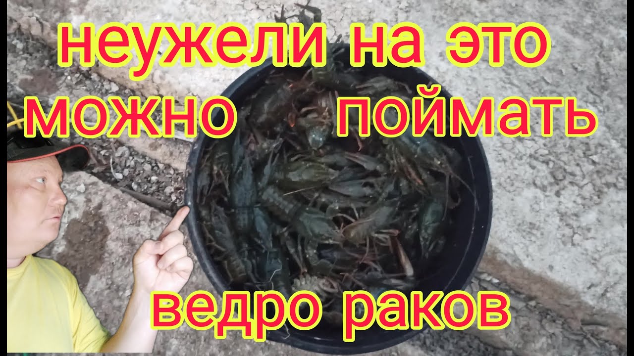 Волшебное зелье творит чудеса! Ловим раков. Экспериментируем приманки для ловли раков на раколовки.