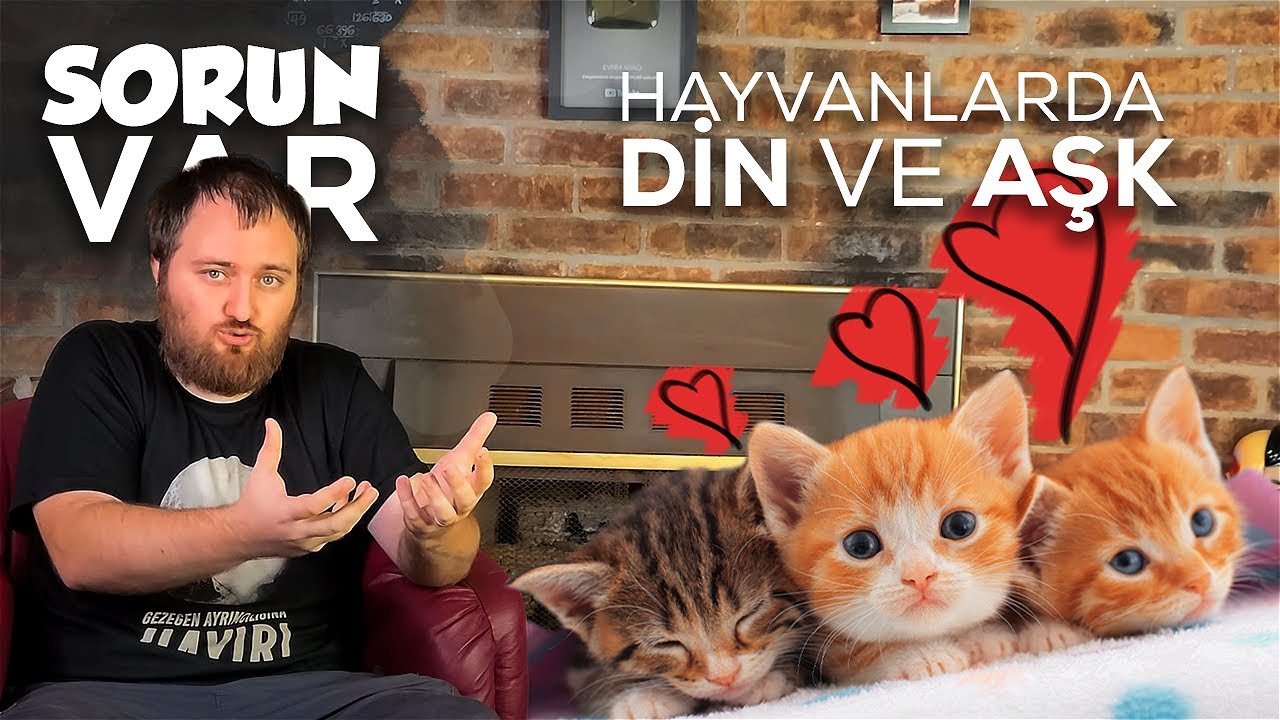 Hayvanlarda Din veya Aşk Var mı? | Sorun Var #3