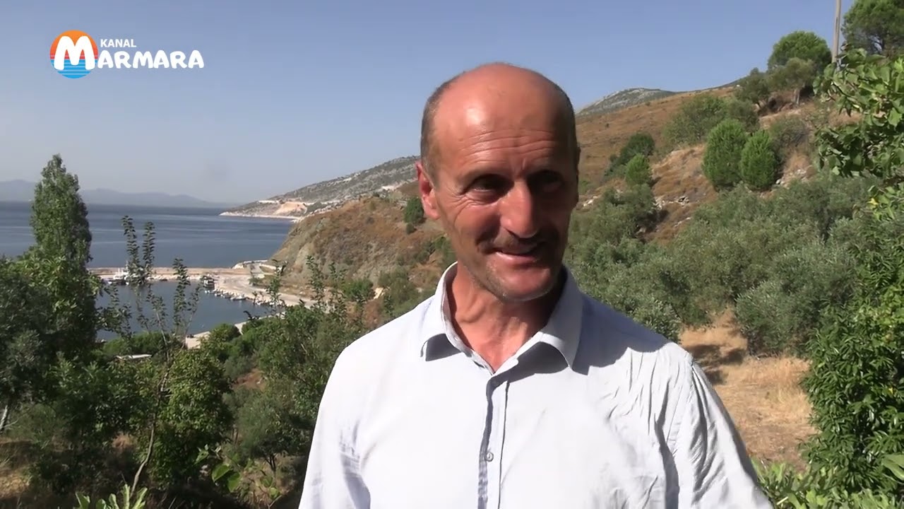 Yayla Çiftliği Marmara Adası