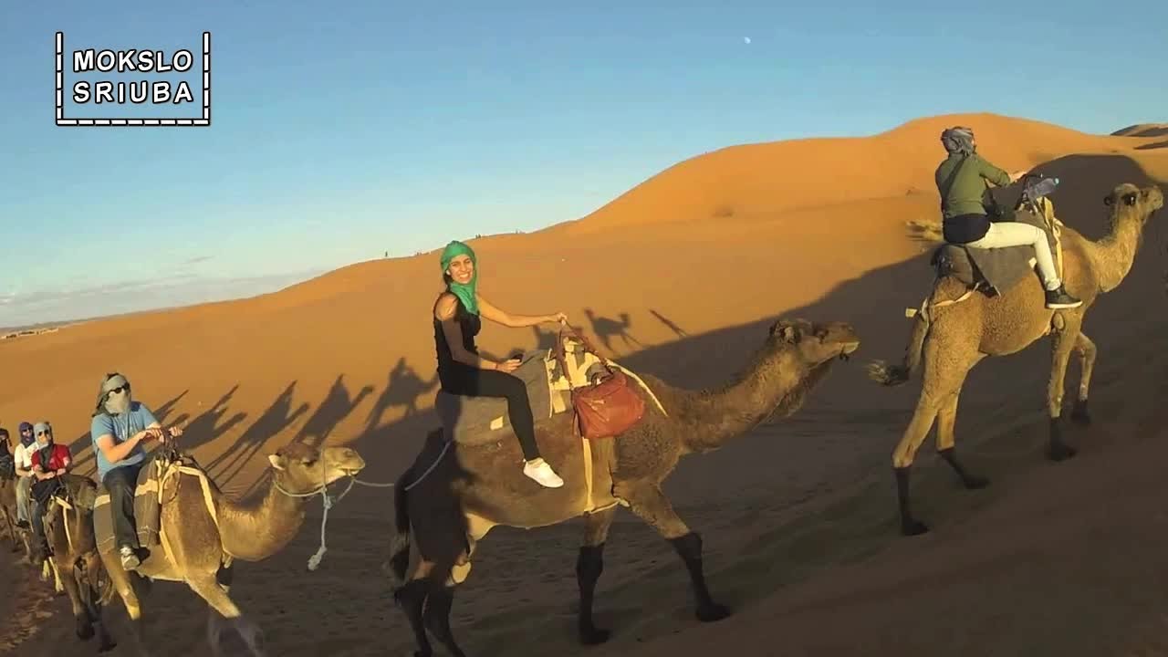 Mokslo sriuba: apie klimato kaitą