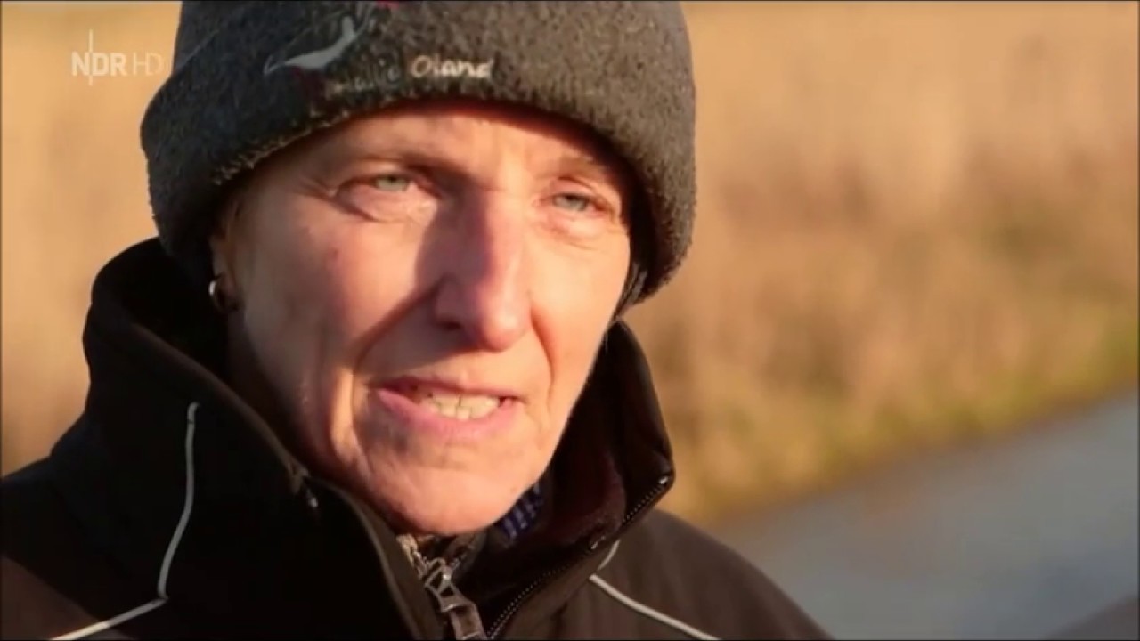 die nordstory Winter auf den Halligen unterwegs auf Langene&szlig; und Oland