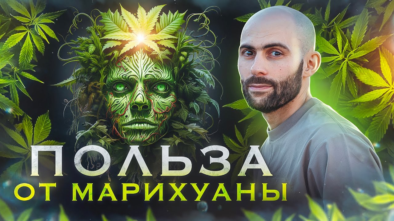 Польза от марихуаны