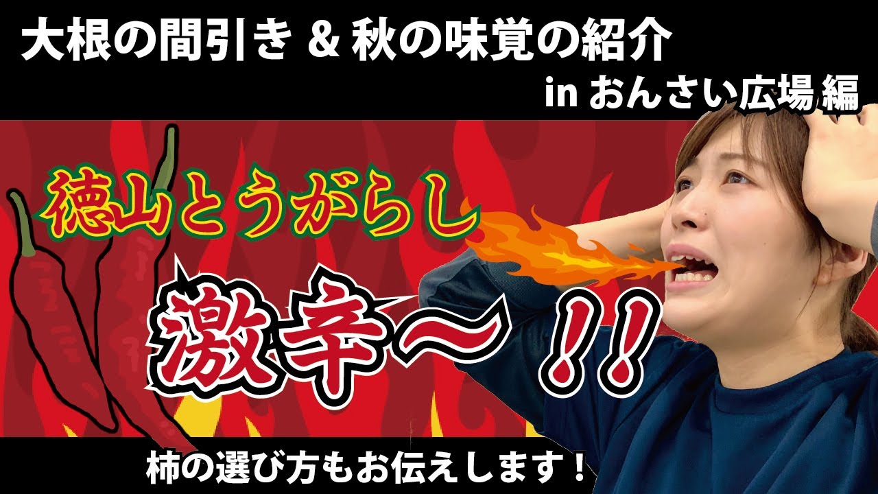 #6【超簡単】JAぎふリオレーナが伝える 大根の間引き＆秋の味覚 農産物の紹介inおんさい広場編