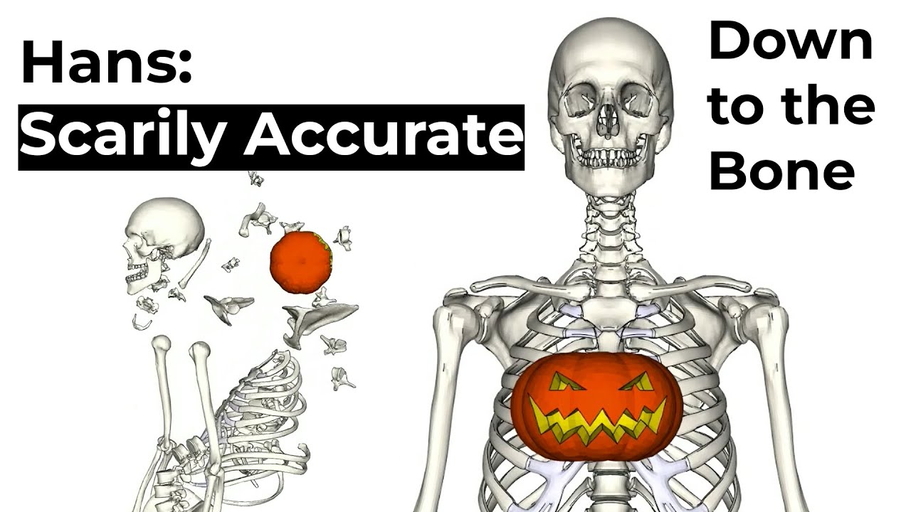 Innovation Down to the Bone: Meet Hans, the Scarily Accurate Human Body Model