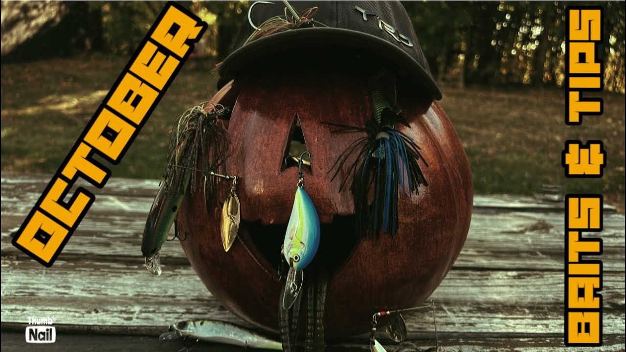 Top Baits for Hookin’ October Bass