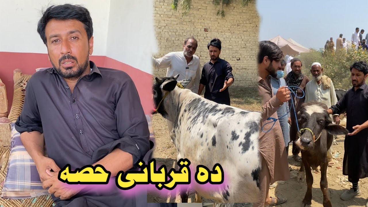 Da Qurbane Khesa || Pashto Funny Video New Drama Kaliwal Vines 2025