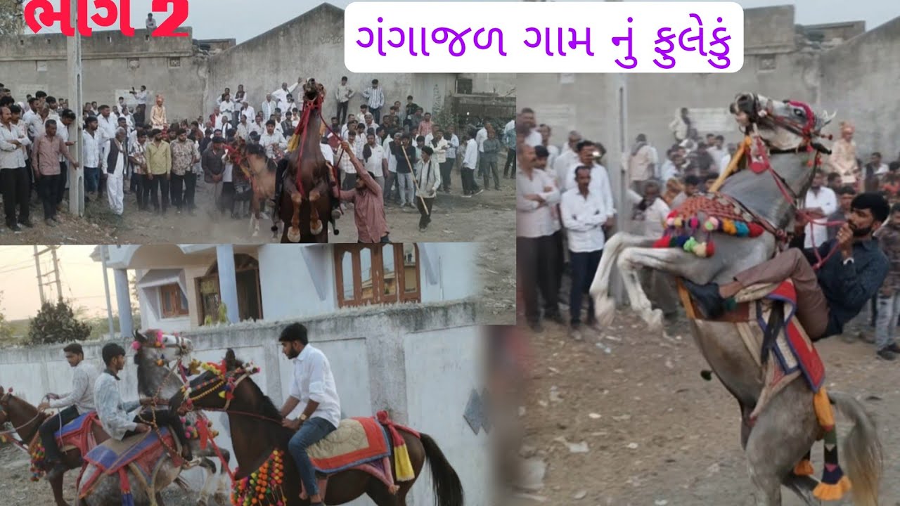 ગંગાજળ ગામ નું ફુલેકું કાઠિયાવાડી ફુલેકું raghubhai vlog