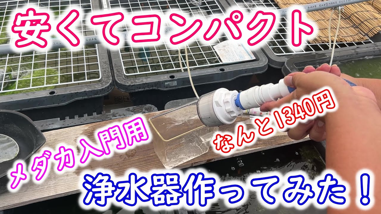 【めだか】メダカ入門用の浄水器を格安で作りました。Ｂ型おやじ