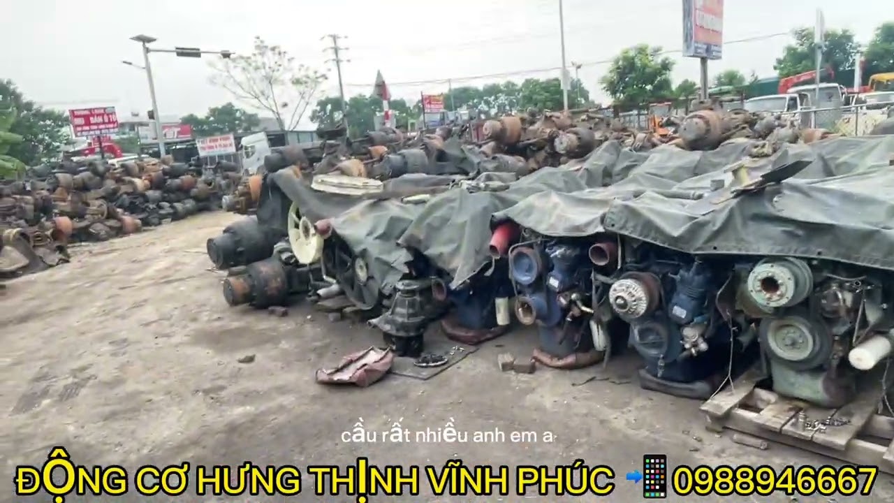 cầu dầu t&acirc;m ngắn về Quảng ninh phục vụ ba con. Hang con nhi&ecirc;u ae c&acirc;n alo e