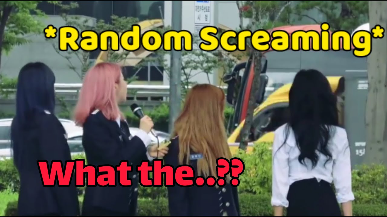 CRAZY MAMAMOO FANS