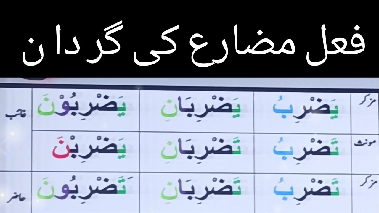 fail muzaray ki gardan| yazrebo|یضرب