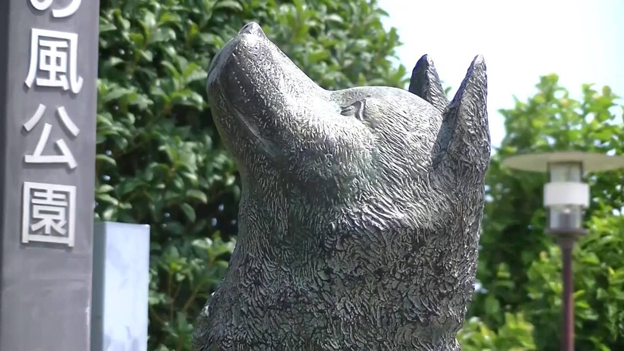 上野英三郎博士とハチ公像 Hachiko and Dr. Hidesaburo Ueno