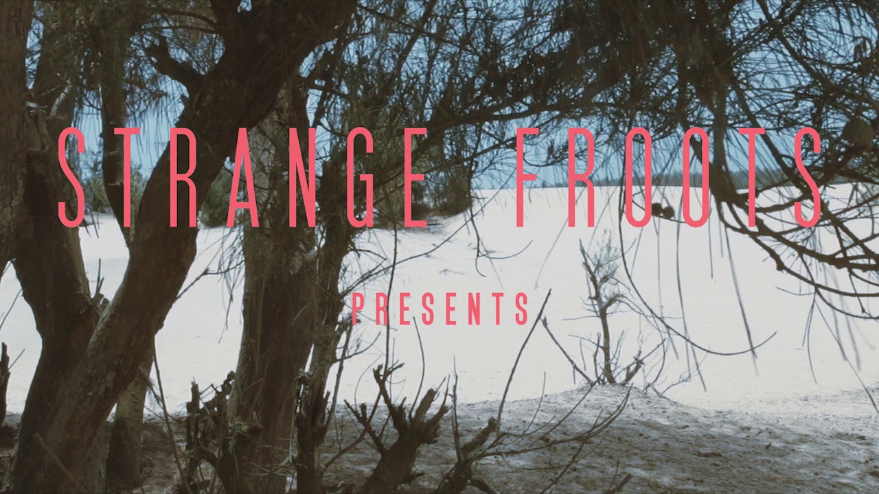 Strange Froots - The Wanderer (Official Trailer)