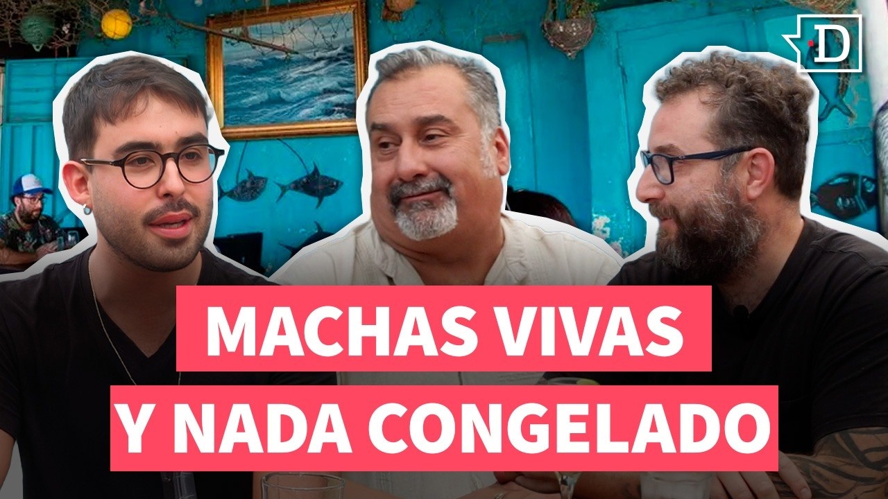 MACHAS llegan VIVAS desde Coquimbo: El restaurante que RECHAZA productos congelados en Santiago
