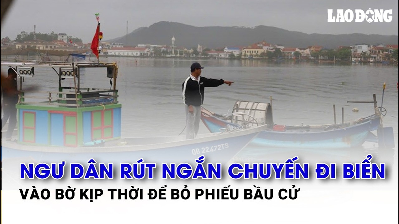 Ngư dân rút ngắn chuyến đi biển, vào bờ kịp thời để bỏ phiếu bầu cử| Báo Lao Động