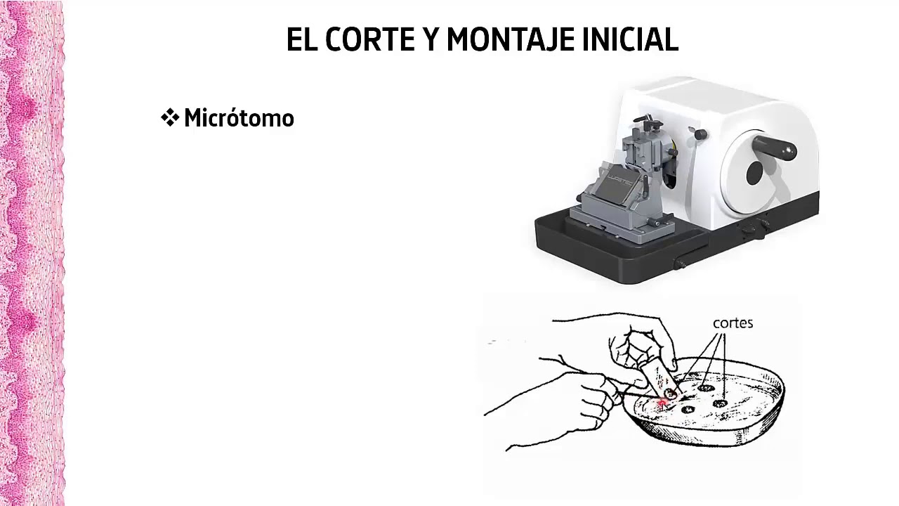 clase 1b   La tecnica de HyE