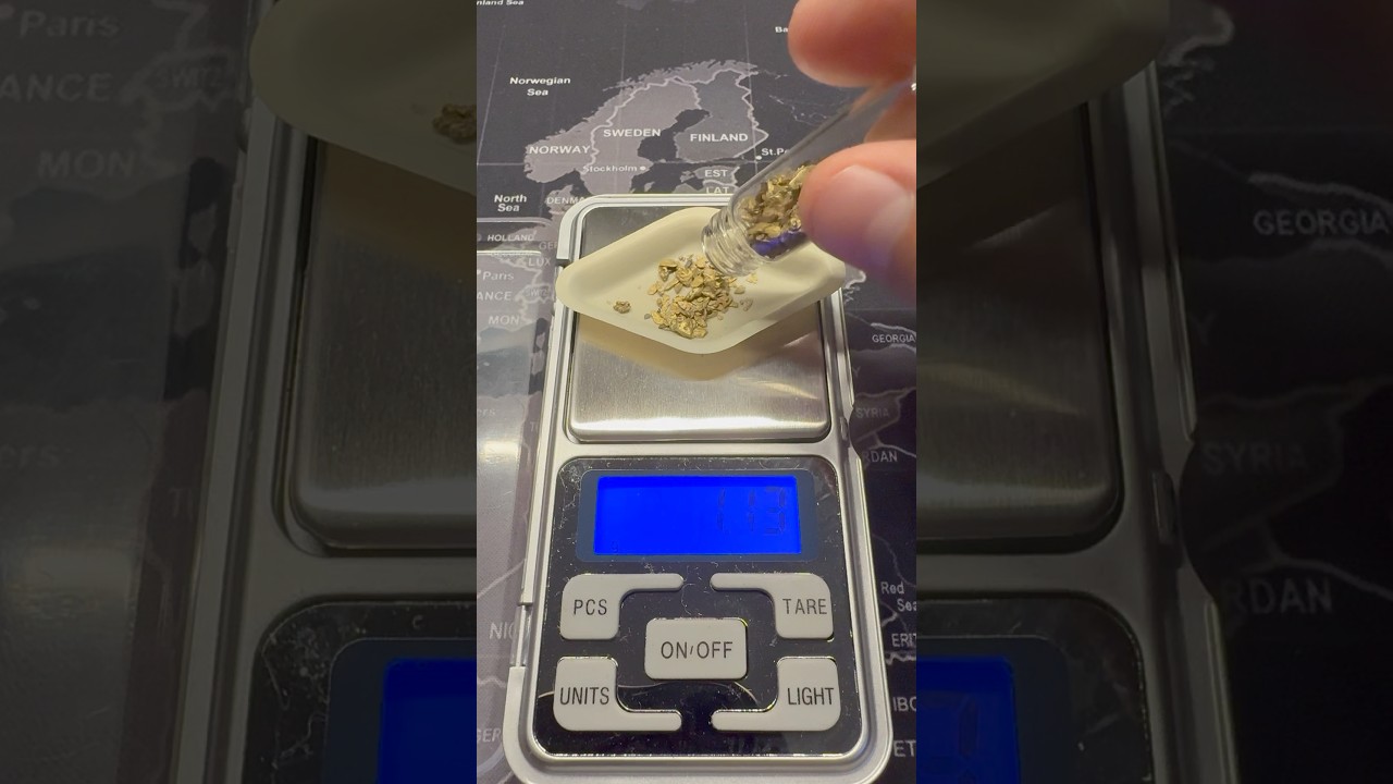 Weighing the gold I found in southern Oregon! ⛏️ #goldprospecting #goldrush #goldexplorer #goldfever
