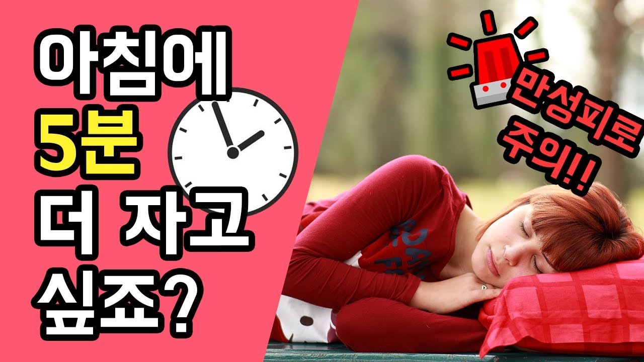 아침에 5분 더 자면 피로가 풀릴까? 1분~5분마다 맞추는 알람이 아침 기상에 도움될까?
